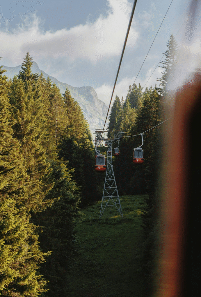 A cable car gliding over the lush Timber Trail valley