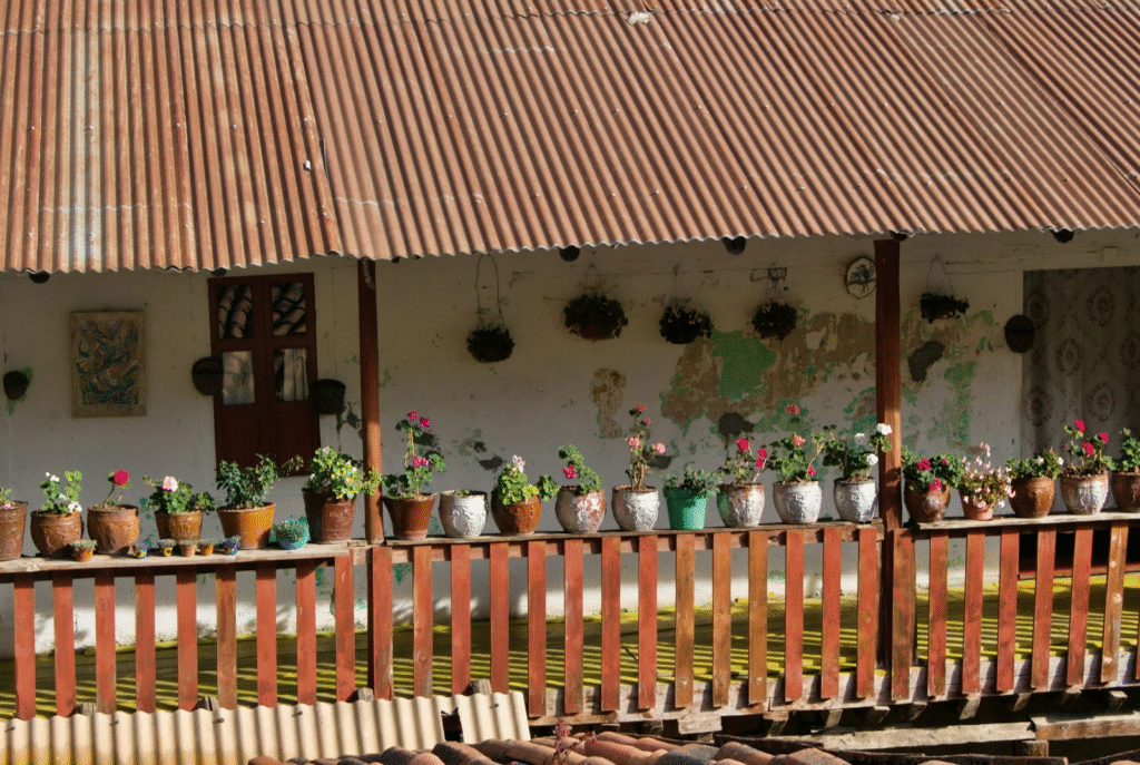 Visitors exploring unique local activities in Kasauli
